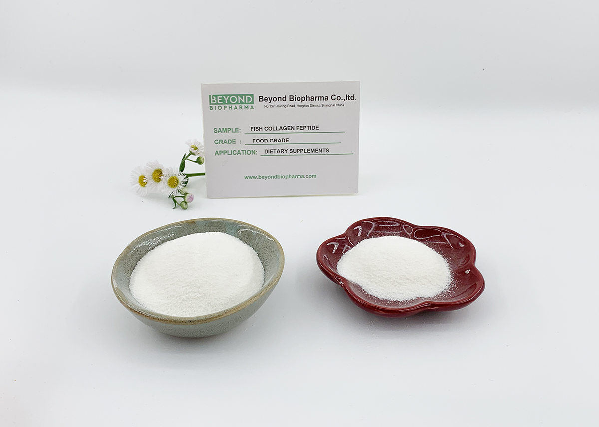 Hydrolyzed Fish Collagen: A Natural Solution to Restore Skin Elasticity