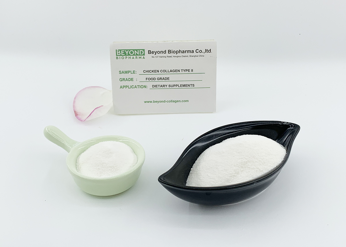 Hydrolyzed collagen peptides: a nutritional treasure trove for food and health