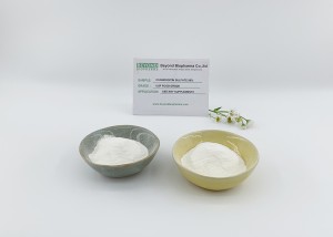 Premium Food Grade Bovine Chondroitin Sulfate Help to Improve Joint Ability