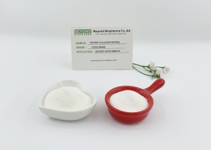 Food-grade Bovine Collagen Peptide Is A Key Ingredient for Maintaining Muscle Health