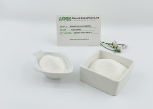 Food-grade Bovine Collagen Peptide Is A Key Ingredient for Maintaining Muscle Health