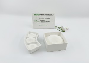 Food-grade Bovine Collagen Peptide Is A Key Ingredient for Maintaining Muscle Health