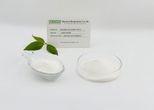 Natural hydrolyzed chicken collagen type II is the key to effectively alleviate joint inflammation