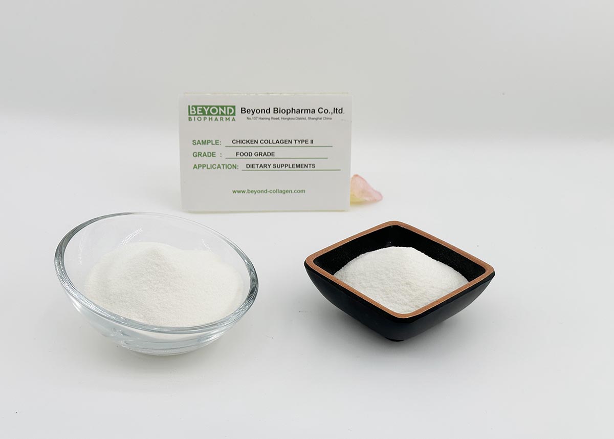 Chicken type ii collagen