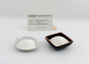 Premium quality hydrolyzed chicken type ii collagen from chicken cartilages