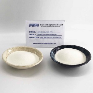 Collagen Type 2 From Chicken Sternum for bone health