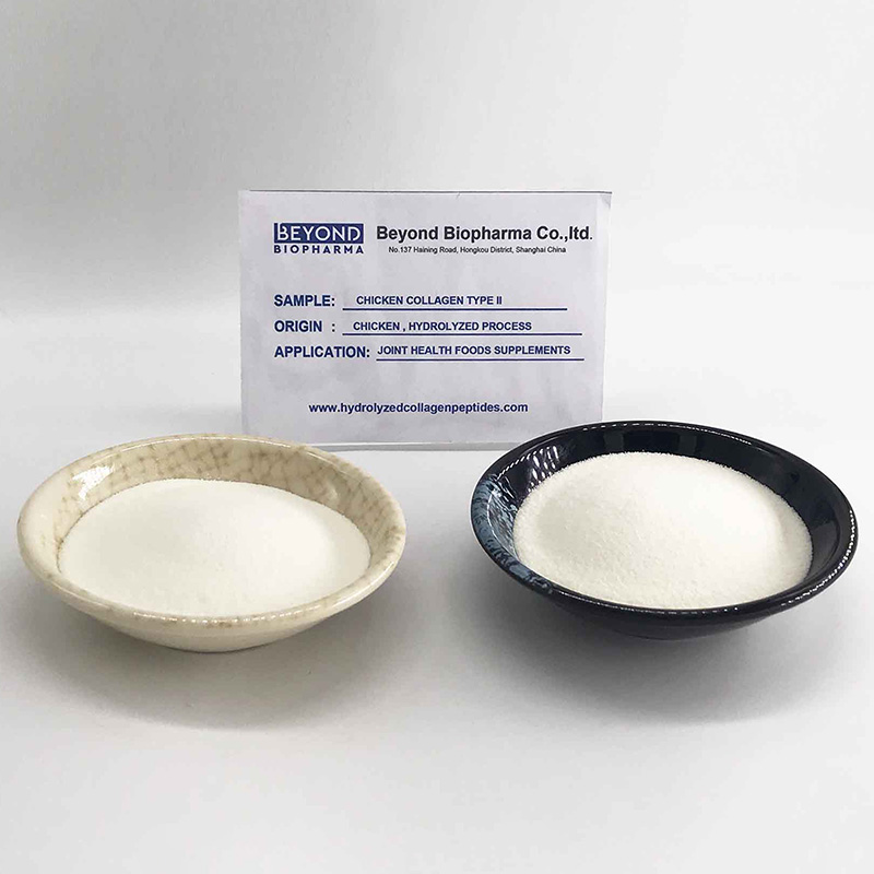 Collagen type 2 from Chicken Sternum1