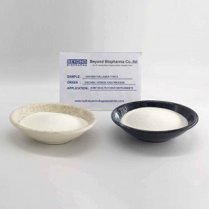 Collagen Type 2 From Chicken Sternum for bone health