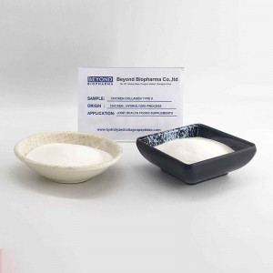 Collagen Type 2 From Chicken Sternum for bone health