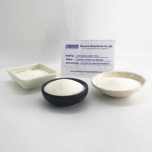 Collagen Type 2 From Chicken Sternum for bone health