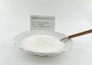 Premium Marine Collagen Powder from Alaska Cod Fish Skin