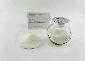 Premium Marine Collagen Powder from Alaska Cod Fish Skin