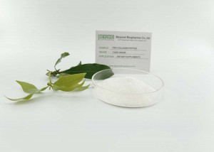 Hydrolyzed Marine Fish Collagen Peptides with Low Molecular weight