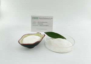 Hydrolyzed Marine Fish Collagen Peptides with Low Molecular weight