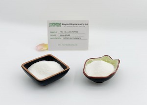 คอลลาเจนเปปไทด์จากปลาเป็นอาวุธลับของสุขภาพกระดูก