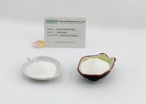 Fish collagen peptide is the secret weapon of bone health