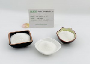 คอลลาเจนเปปไทด์จากปลาเป็นอาวุธลับของสุขภาพกระดูก