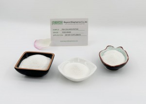 คอลลาเจนเปปไทด์จากปลาเป็นอาวุธลับของสุขภาพกระดูก