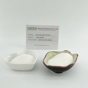 Fish Collagen Peptide for Skin Health