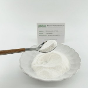 Fish Collagen Peptide for Skin Health