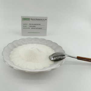 Fish Collagen Peptide for Skin Health