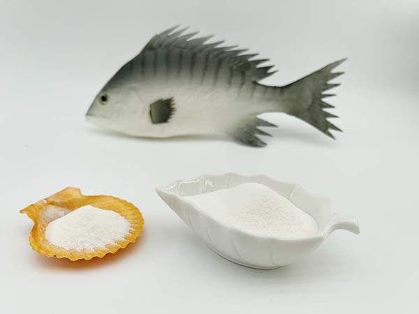 Fish Collagen Peptide Manufacturer