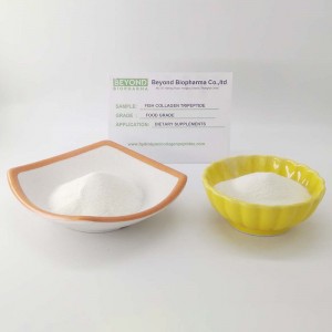 Tripeptide di collagene di pesce CTP ad elevata biodisponibilità
