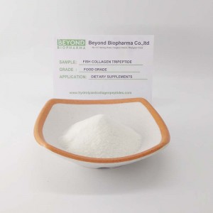 Tripeptide di collagene di pesce CTP ad elevata biodisponibilità