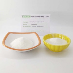 Tripeptide di collagene di pesce CTP ad elevata biodisponibilità
