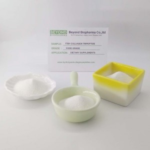 Marine Fish Collagen Tripeptide CTP for Skin Health