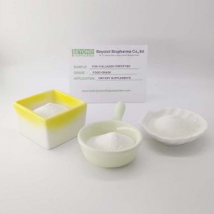 Marine Fish Collagen Tripeptide CTP for Skin Health