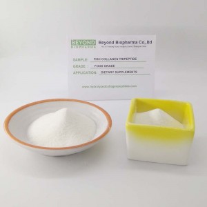 Professional Factory For Tripeptide Collagen - Fish Collagen Tripeptide CTP with 280 Dalton MW – BEYOND