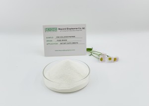 Cosmetic Grade Fish Collagen Derived from Cod Skin