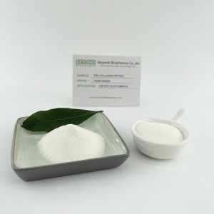 Halal Marine Fish Collagen Peptides Pellis et Bone Health