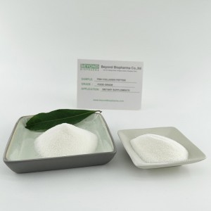 Halal Marine Fish Collagen Peptides Pellis et Bone Health