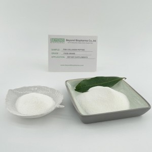 Halal Marine Fish Collagen Peptides Pellis et Bone Health