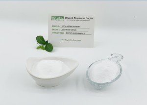 USP 90% Hyaluronic Acid is Extracted from Fermentation Process