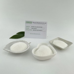 Hydrolyzed Collagen Powder from Bovine Hides
