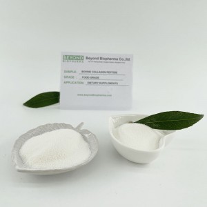 Hydrolyzed Collagen Powder from Bovine Hides