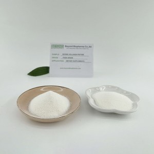 Hydrolyzed Collagen Powder from Bovine Hides