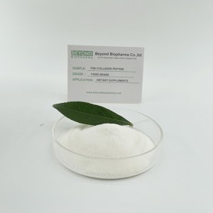 Hydrolyzed Fish Collagen Powder with Good Solubility