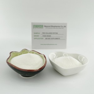 Hydrolyzed Fish Collagen Powder with Good Solubility