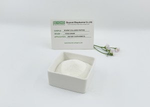 Premium Quality Hydrolyzed Bovine Collagen Powder