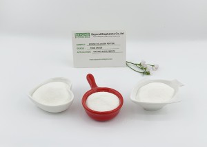 Premium Quality Hydrolyzed Bovine Collagen Powder