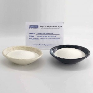 Chicken Collagen type ii for Joint Health