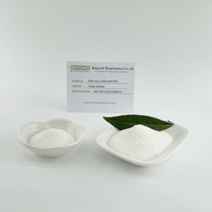 Hydrolyzed Type 1 & 3 Collagen Powder from Fish Skin