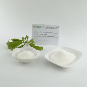 Hydrolyzed Type 1 & 3 Collagen Powder from Fish Skin
