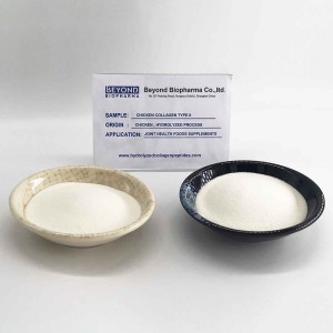 Chicken Collagen type ii for Joint Health