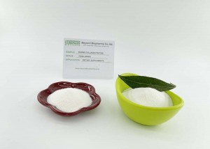 Bovinus collagen plus hydroxyproline continet