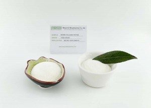 Bovine collagen is high in protein